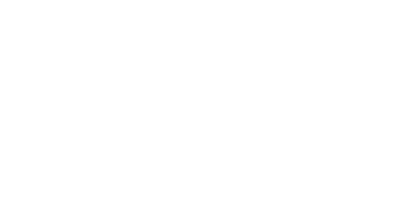 2600+ experter