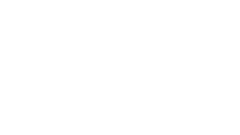 1006 respondenter